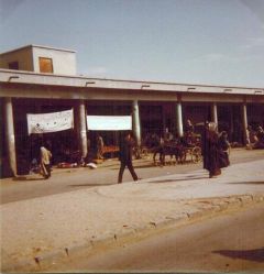 Ausgrabung015-A-05_Isin-1976_Basar-Diwaniyah.JPG