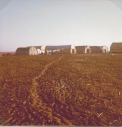 Ausgrabung027-06_Isin-1976_ElHibba.JPG