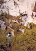 1984_02-4_A_Breitenbrunn_NeuS-See.JPG